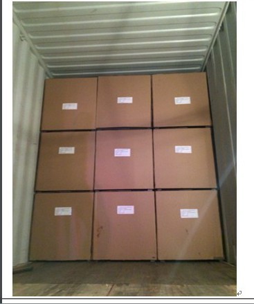 Container loading 1.jpg