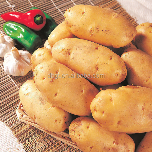 Common types of cultivation fresh potato from China