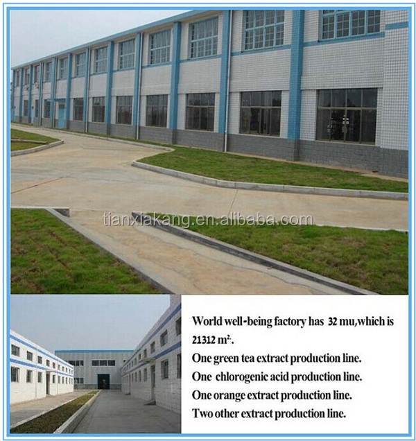 Factory 100% Natural Organic 10%-20% Theobromine Cocoa Extract Powder,Cocoa Bean Extract Powder, Low Price Akalized Cocoa Powder