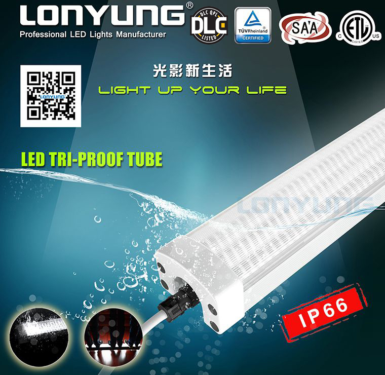 Waterproof Led Light Tube Etl Dlc Tuv Saa Outdoor Lighting 60cm 90cm