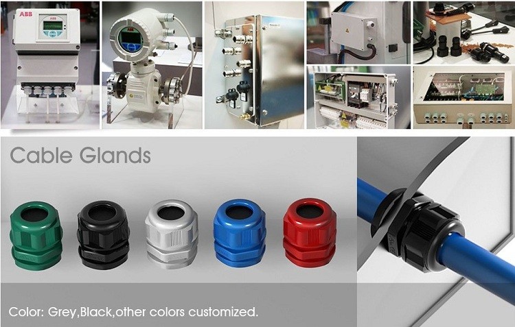 cable gland