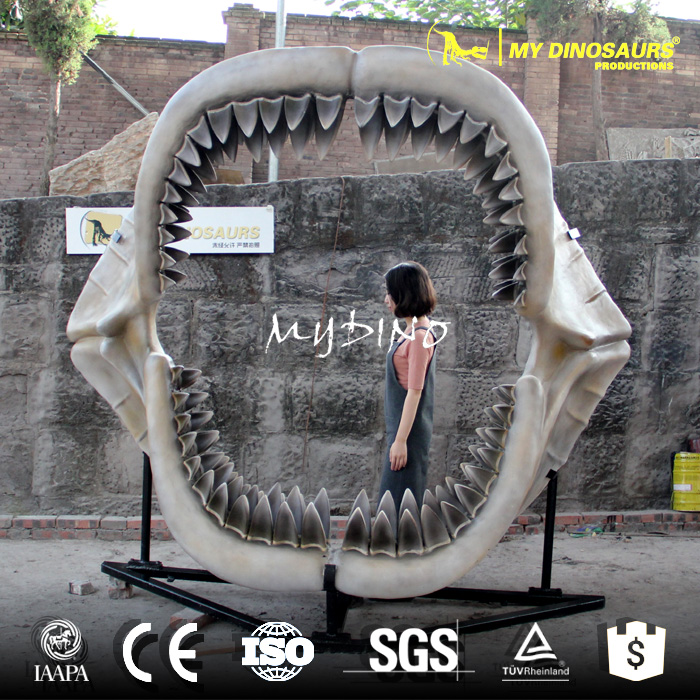 megalodon jaw.jpg