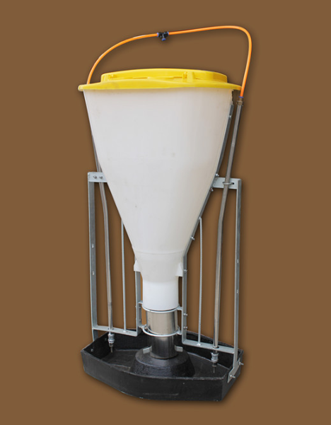 Dry Wet Pig Feeder Automatic Pig Feeder Automatic Feeder For Pigs