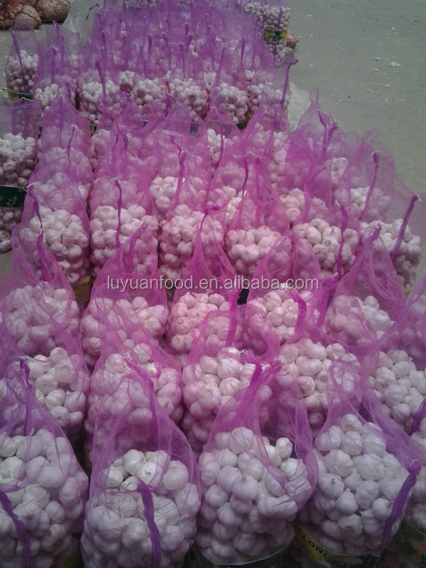 2014 fresh garlic in mesh bag