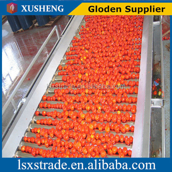 tomato paste factory with competitive price (B)