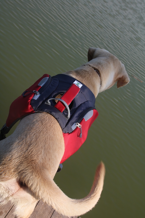 waterproof dog backpack