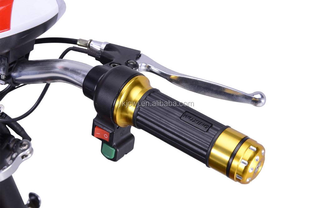 リバースギア付き電動モビリティスクーター/48v500w電動スクーター３輪/モータースクータートライク仕入れ・メーカー・工場