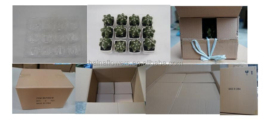 最高の販売高シミュレーションミニ人工多肉植物熱帯植物シリーズ仕入れ・メーカー・工場