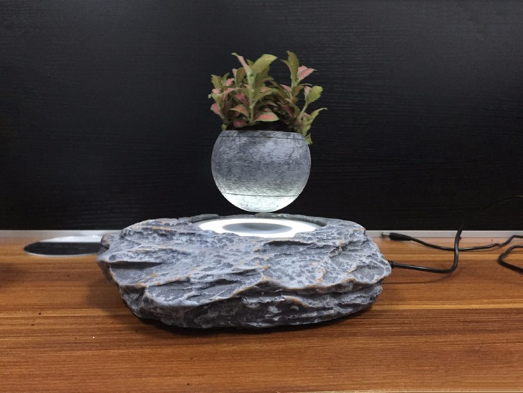 Levitating Bonsai Tress Variety and Bonsai Product Type levitating bonsai (17).JPG