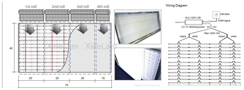 バイオ- カラーledバックライト付き格子12v商業建築物のためのストリップ仕入れ・メーカー・工場