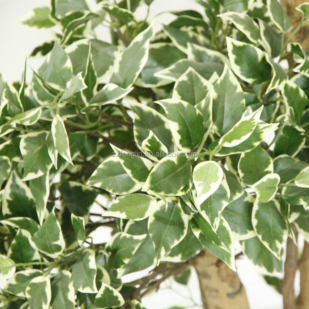 Di alta qualità palla arte topiaria albero di ficus di seta ... Ufficio casa decorazione a
