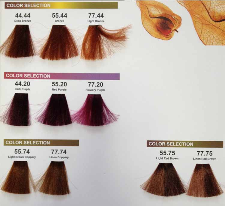 New products best professional hair color brand names without ppd