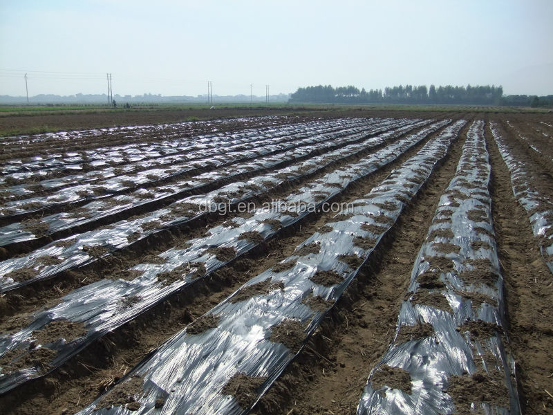 2014 Shaanxi new crop Fresh Potato in Various Package