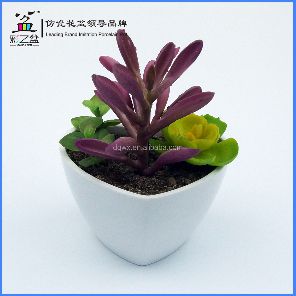 人工一致させるとアロエ多肉植物植物ポットメラミン心臓の形仕入れ・メーカー・工場