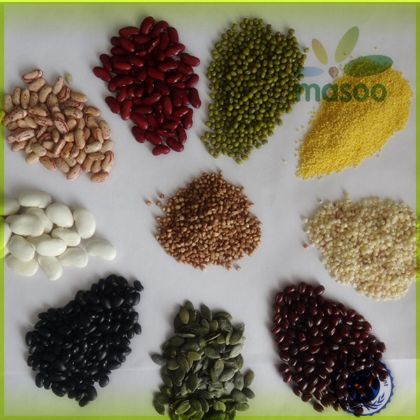 Chinese fresh sweet Holland potato factory and exporter