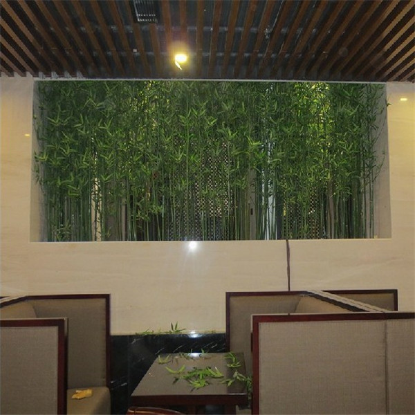 Bambú bonsai evergreen casa/jardÃn/construccion centro/juegos/sala ... Juegos de sala verde