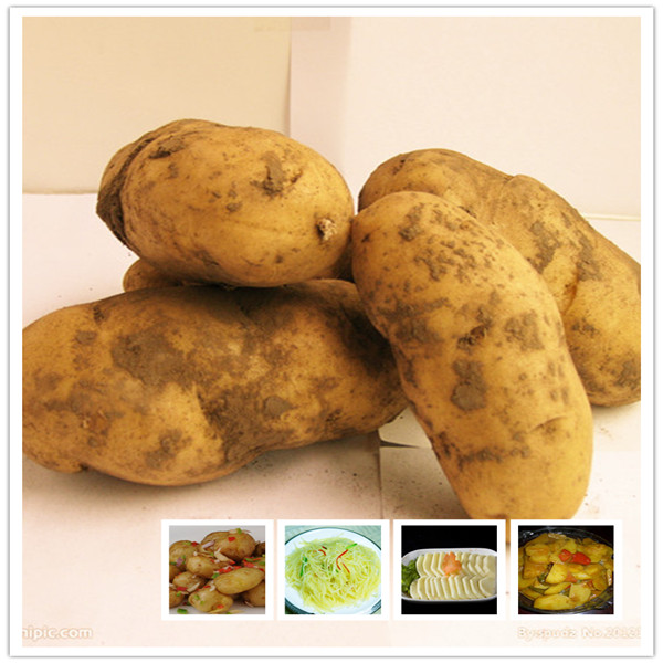 2014 New crop healthy and nutritious potatoes