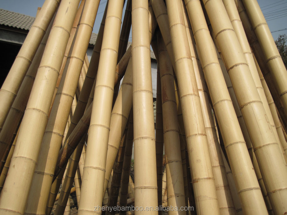 bamboo pole natural (24).jpg
