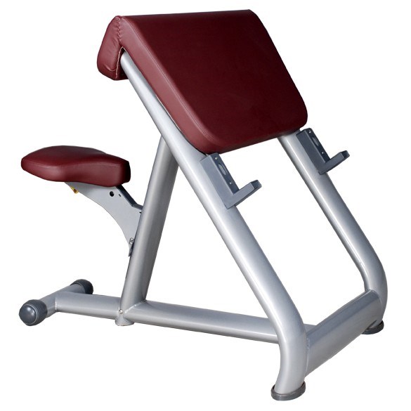 Preacher Curl Scott Curl Bench Tz 6025 Fitness Equipment Gym