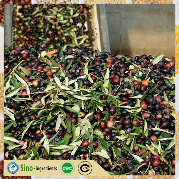 Good Quality Olive Oil,China SinoFood price supplier 21food