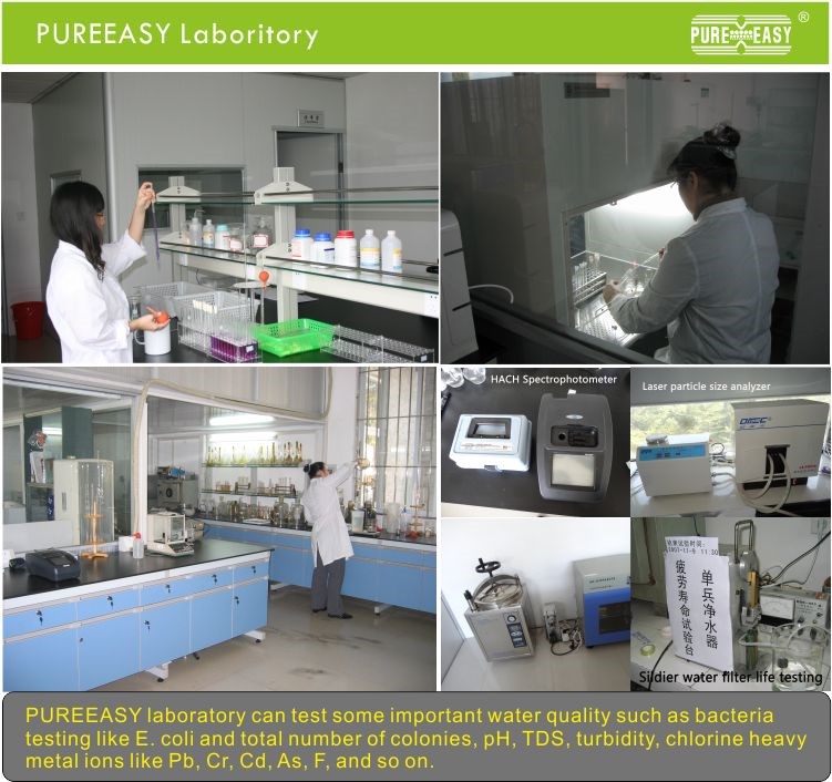 lab