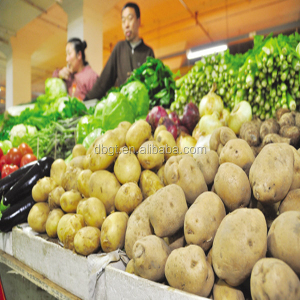 Delicious and nutritious potatoes,fresh potata