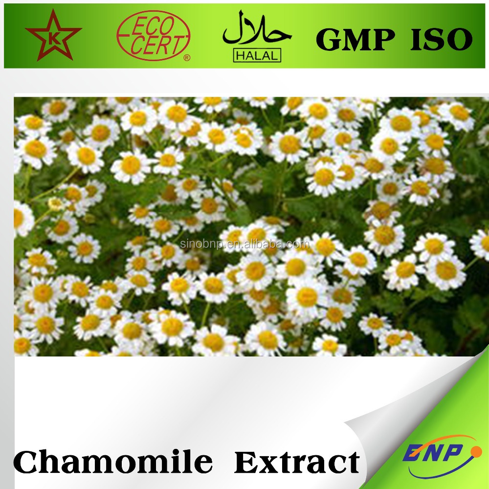 100% pure nature chamomile extract powder for skin health