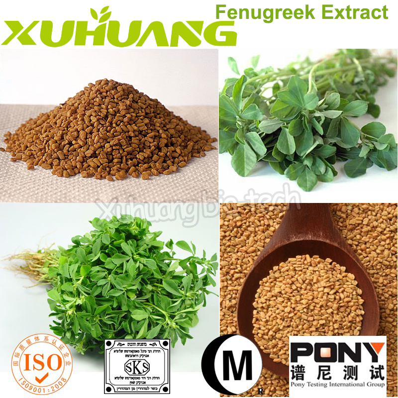 For Mens Health Supply Good Water Soluble Fenugreek Extract/ Fenugreek Extract Powder Buy