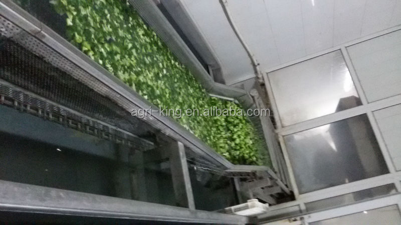 2014 new high quality frozen broccoli florets