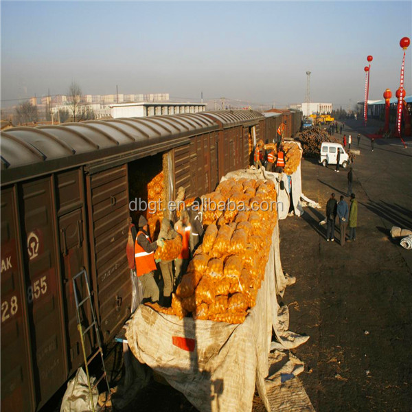 2014 new fresh potato net bag packing
