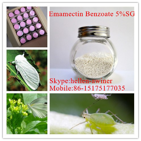Emamectin бензоат 5% ру используется на хлопок для управления красный, белый и желтый паук, хлопок коробочный червь, яйца