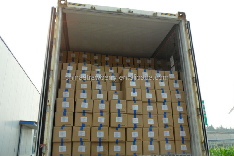 IQF GREEN SOYBEAN Frozen Edamame