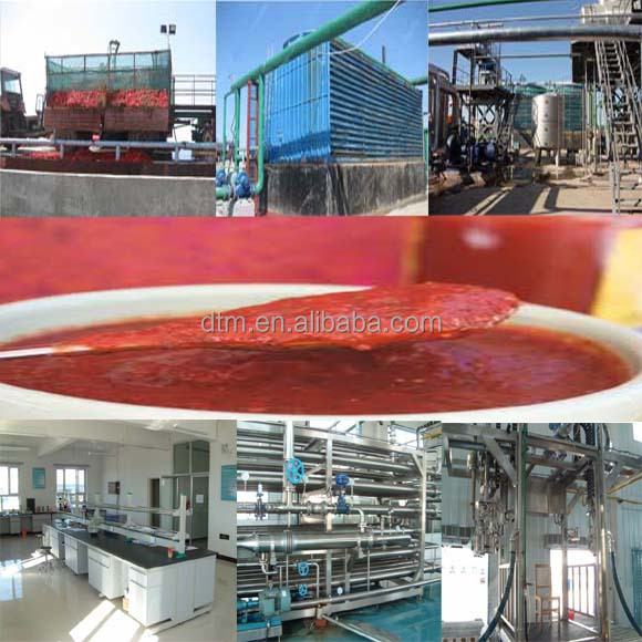 2014 CROP New Tomato Paste