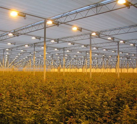 屋内植え光120 ワット led植物成長ライト用農業greenhousehouse仕入れ・メーカー・工場