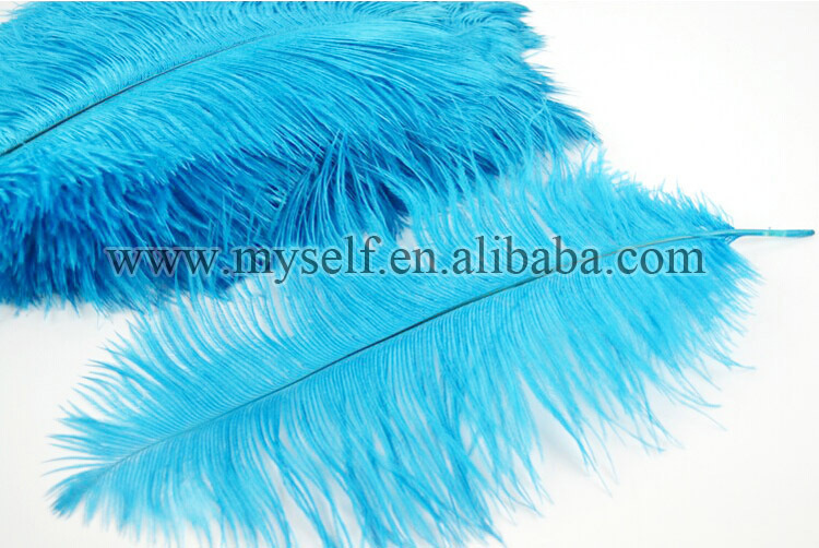 カラフルなダチョウの羽20-25cm2015ウェディングドレスのための問屋・仕入れ・卸・卸売り