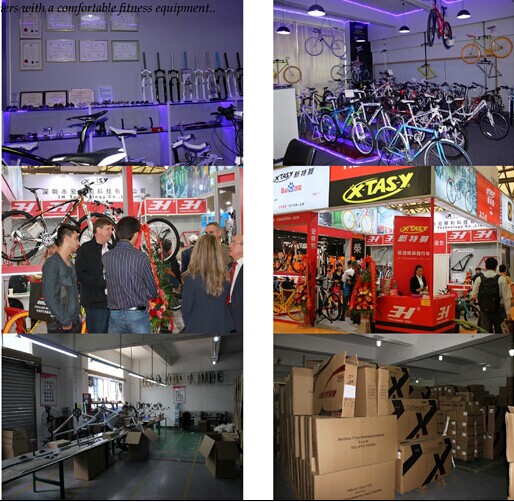 X- tasy26er炭素繊維のマウンテンバイクの価格問屋・仕入れ・卸・卸売り