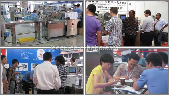 SGM080-3A-P/T Horizontal Flow Automatic Pillow Marshmallow Packing Machinery
