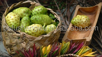 Noni Fruit High Concentrated Juice, 100% Fermentation