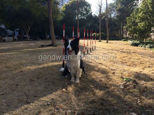 の犬の敏捷性のスラロームウィーブポール犬の訓練仕入れ・メーカー・工場