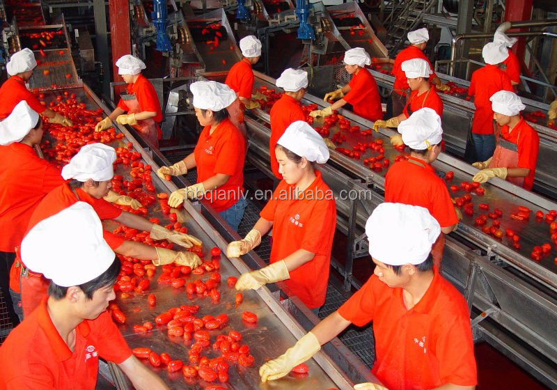 xinjiang bulk tomato paste