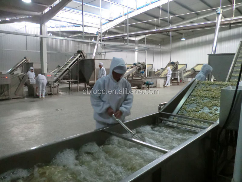 garlic powder ,garlic granules ,garlic flake from factory
