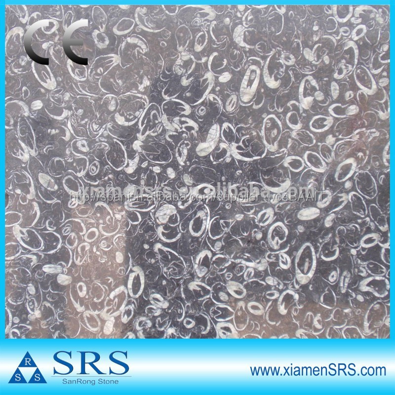 Catálogo de fabricantes de Encimeras De Granito Con Fósiles de alta