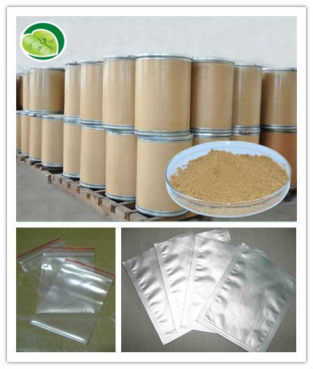 GMP green tea extraction polyphenols powder
