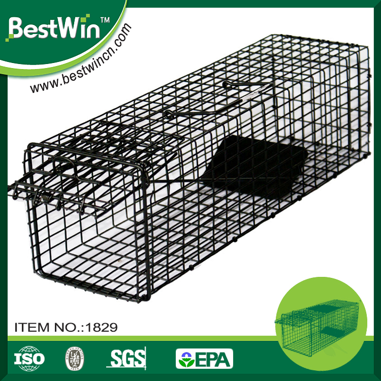 Bstw 3 Years Quality Guarantee Easy Set Animal Leg Trap Buy Animal