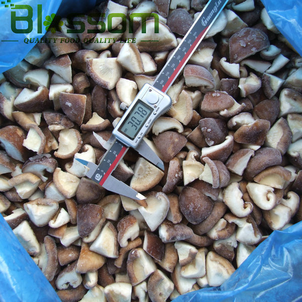 Top quality frozen shiitake mushroom names all mushrooms