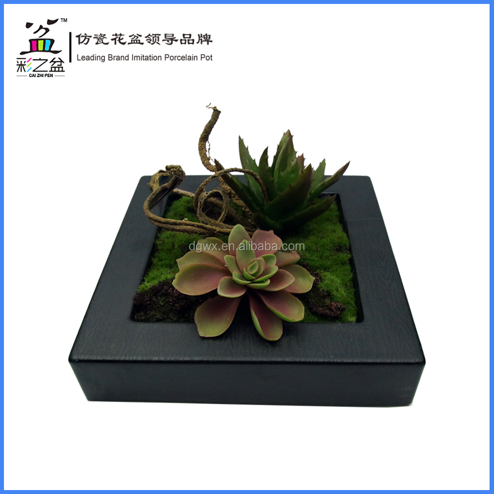 ミニフェイクジューシーな植物の人工的なメラミンフォトフレーム壁の装飾のための花仕入れ・メーカー・工場