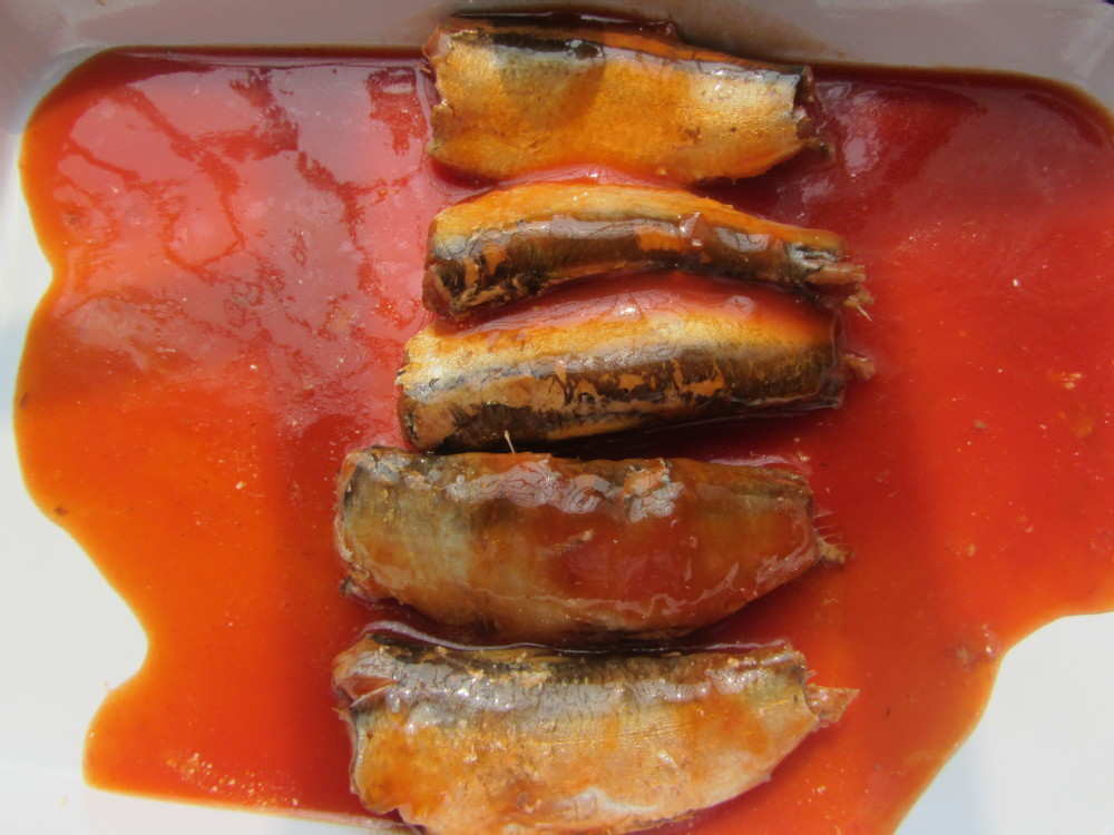 Canned Mackerel with tomato juice