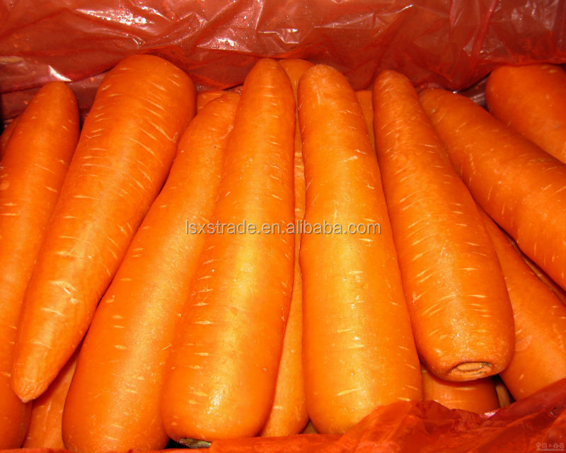 2014 new crop carrot from China (H)
