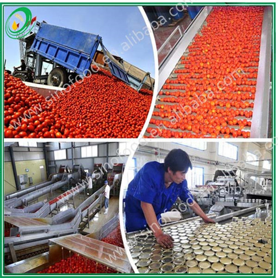 tomato paste best price with drum packing/Tin Packing