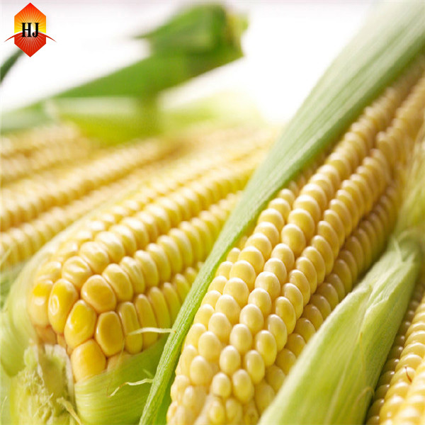 Strict quality & best price corn starch from professional supplier
